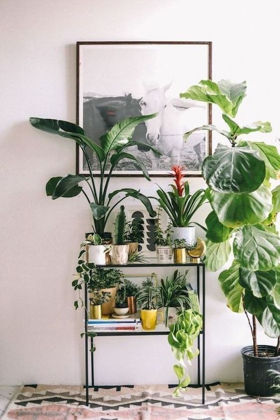 60+ Plant Stand Design Ideas for Indoor Houseplants - Page 20 of .