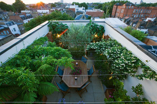 Terrace garden - Godly design & concept! | Terrace gardening .
