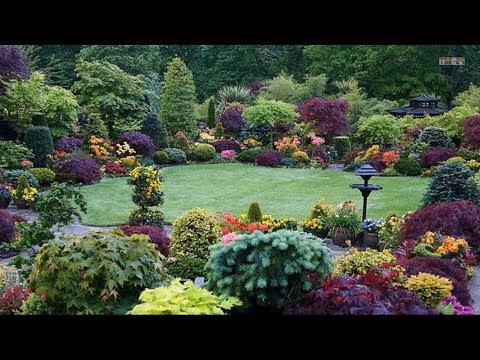 Best ideas! - Top 80 Garden Small Backyard Landscaping | Beautiful .