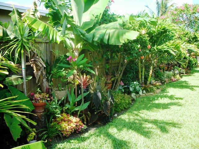 Tropical Garden Ideas