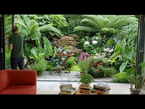 Small Tropical Garden Ideas #1 - YouTu