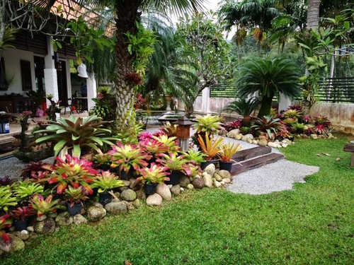 Tropical Landscaping Ide