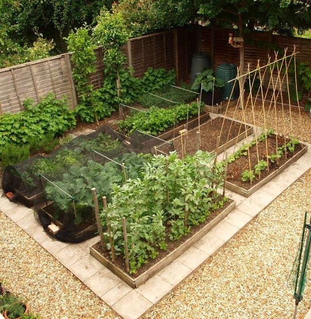 Garden layout vegetable, Garden layout, Vegetable garden desi